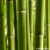 Massage bambou 